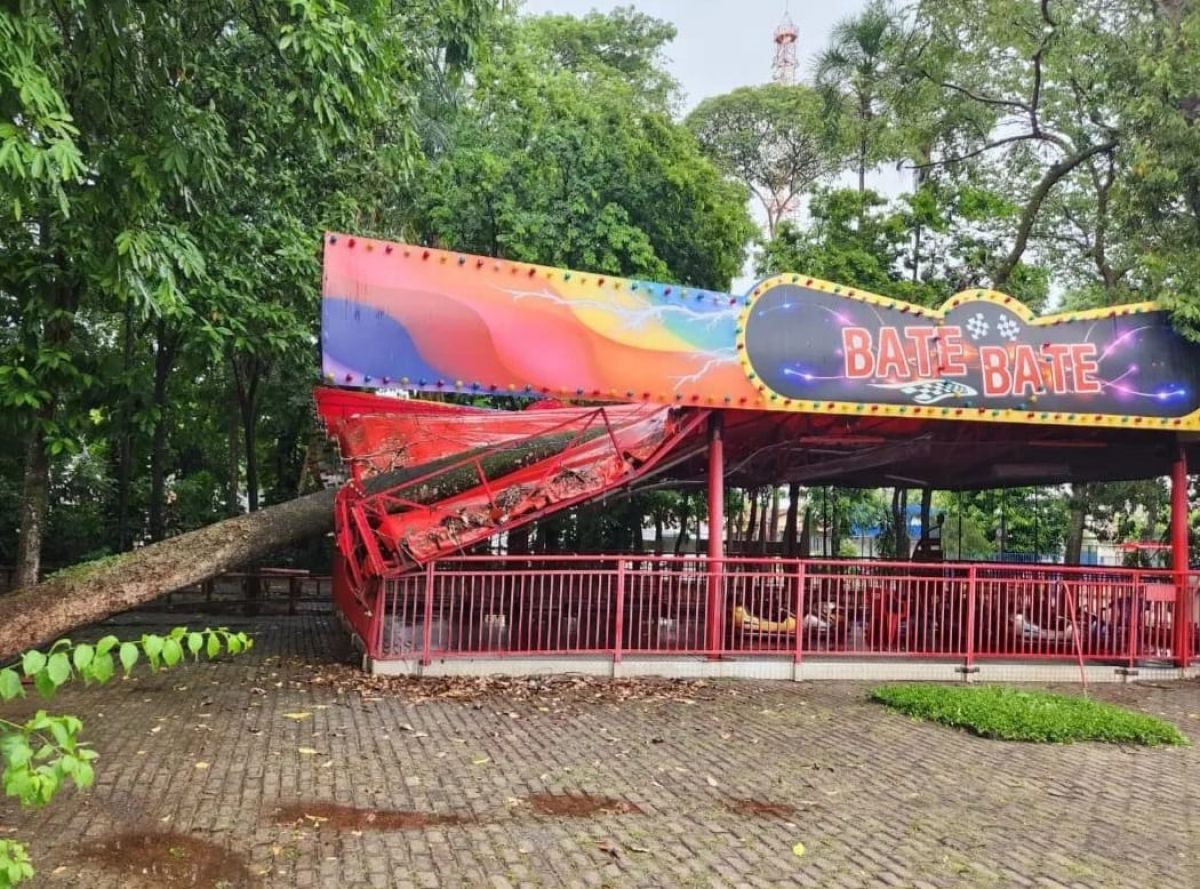 Temporal causa destruição no Centro de Goiânia. Árvore de 20 metros caiu em cima de brinquedo no Parque Mutirama